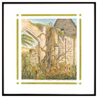 Ancient Wisteria in Ruins, Sudeley Castle